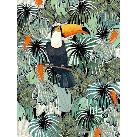 Pampa toucan poster