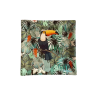 Vide-poche Toucan