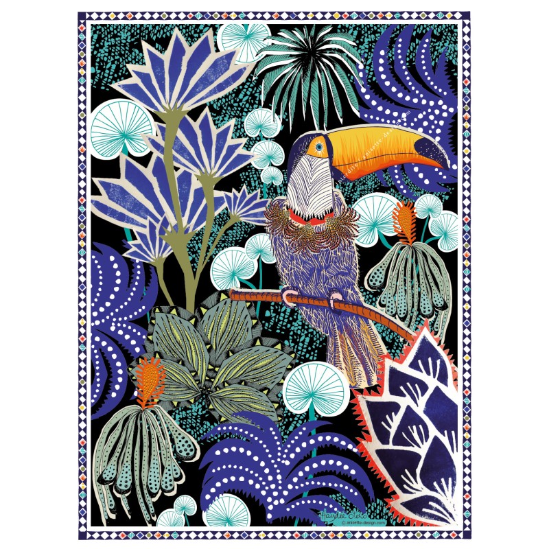 Affiche  Toucan mexicain