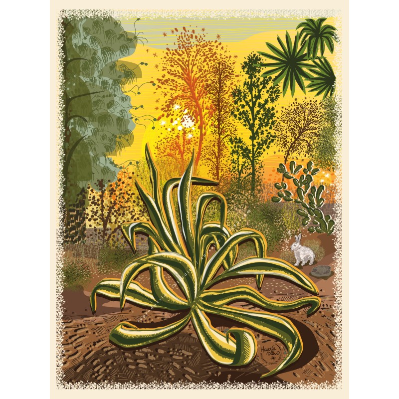 Sunlit cactus poster