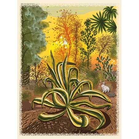 copy of Mexican toucan poster