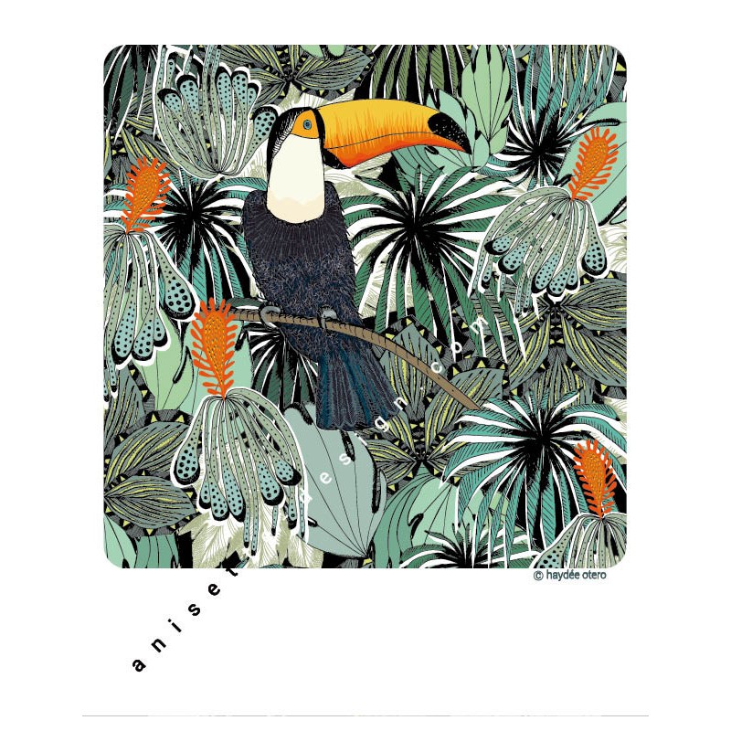 Pampa toucan polaroid