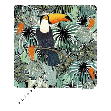 Pampa toucan polaroid