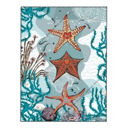 Starfish poster