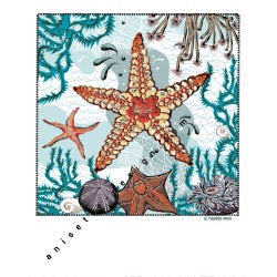 Starfish polaroid