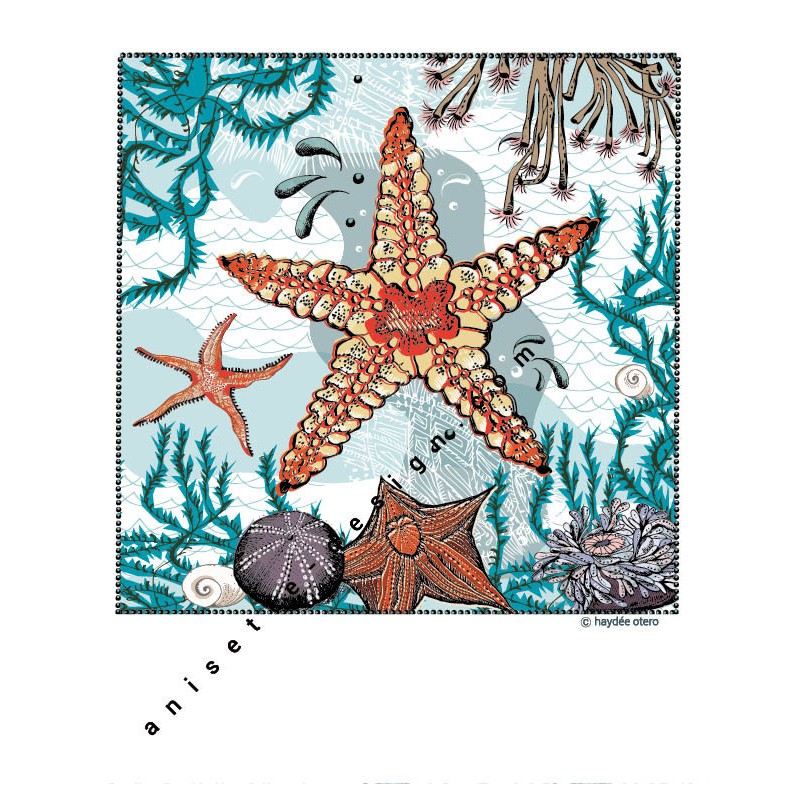 Starfish polaroid