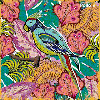 https://www.anisette-design.com/fr/cartes/342-pola-jungle-coco.html