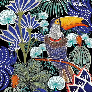 https://www.anisette-design.com/fr/affiches/295-affiche-toucan-mexicain.html